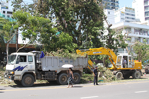 TP. Nha Trang: Căng sức khắc phục hậu quả sau bão