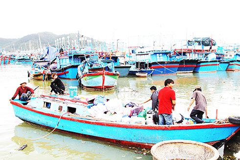 Gác nỗi buồn, hối hả vươn khơi