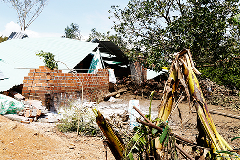 Nông nghiệp thiệt hại hơn 4.800 tỷ đồng