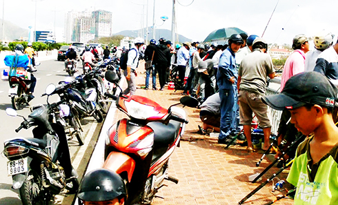 Hàng trăm người dựng xe trên cầu Trần Phú câu cá