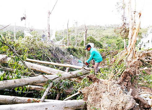 Đâu rồi trang trại Kim Kim Hoa?