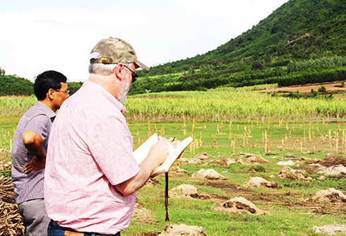 Thận trọng cấp đất cho dự án điện mặt trời