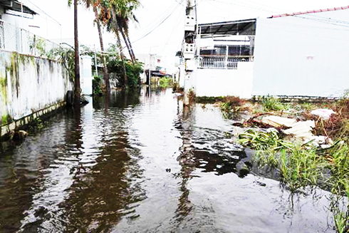 Ngập nước, ô nhiễm ở xã Vĩnh Ngọc