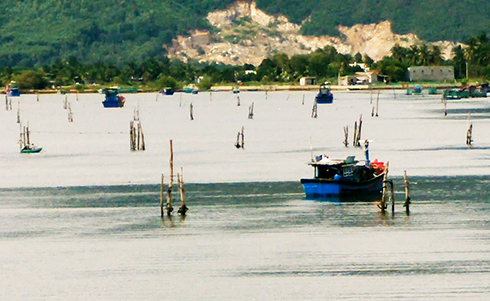 Đóng đáy dày đặc trên đầm Thủy Triều