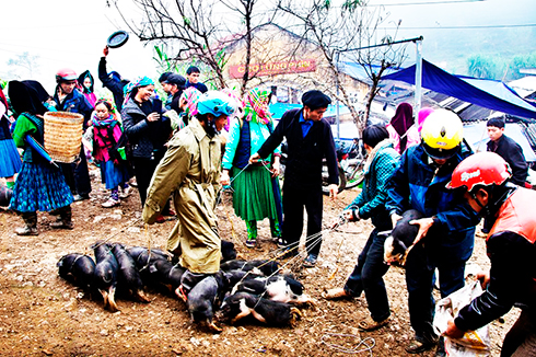 Chợ Lũng Phìn (Hà Giang) của Trần Văn Túy