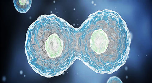 Tiêu diệt ung thư bằng cách điều chỉnh DNA 
