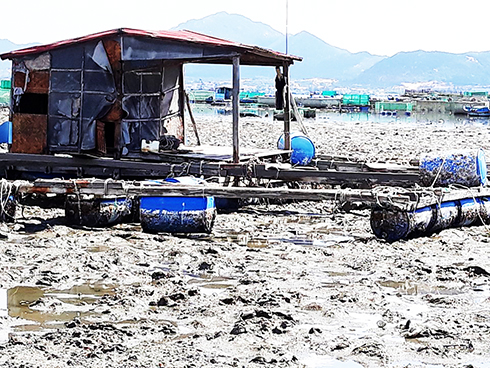 Giải ngân 200 triệu đồng để ngư dân phường Cam Thuận nuôi trồng thủy sản