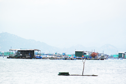 Làm lại từ đầu...