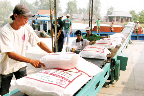Hỗ trợ gạo dịp Tết cho 58.114 khẩu