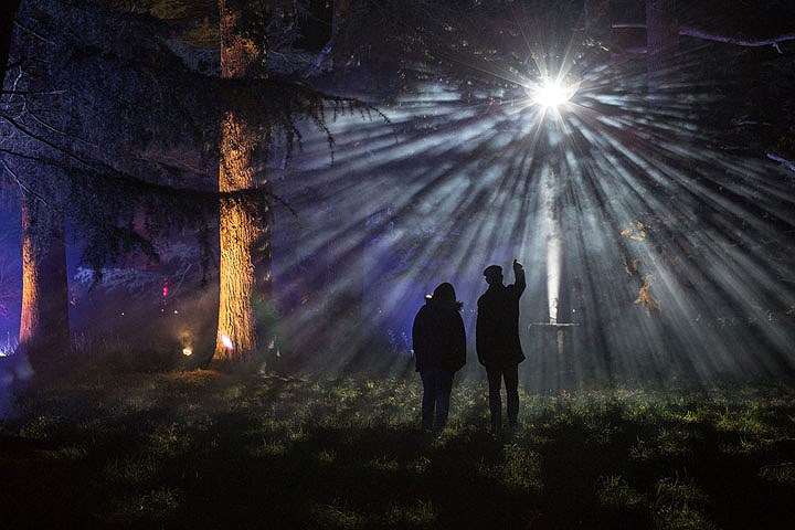 Hệ thống đèn chiếu sáng chuẩn bị cho Giáng sinh, tại Westonbirt Arboretum, Anh.