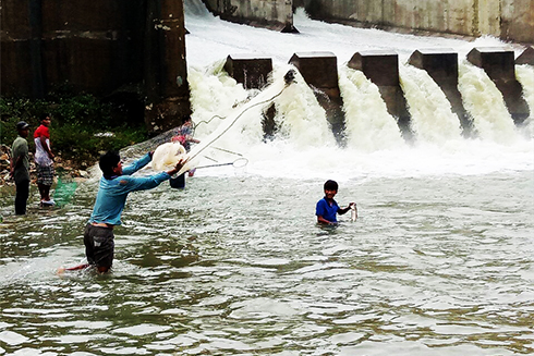 Hồ Suối Hành xả lũ, người dân liều bắt cá