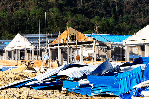 Nỗ lực của một chủ trang trại