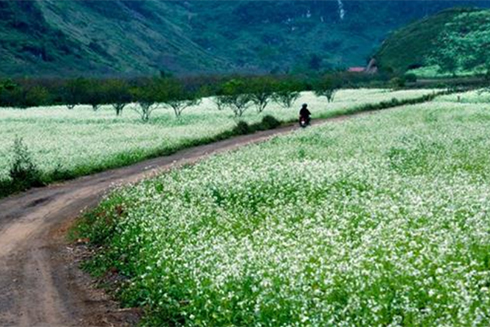 Một ngày chớm đông