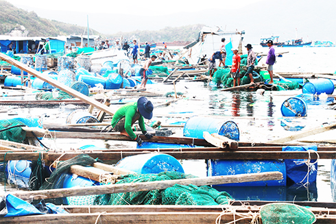 Lồng bè nuôi trồng thủy sản của người dân bị sóng biển đánh hư hỏng, ngổn ngang  trên vùng biển vịnh Vân Phong