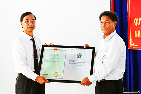 Niềm vui làng cúc Ninh Giang