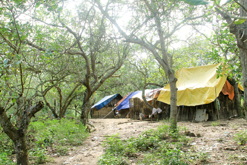 Lán trại nằm ngay trong khu bảo tồn do tình trạng xen lấn.