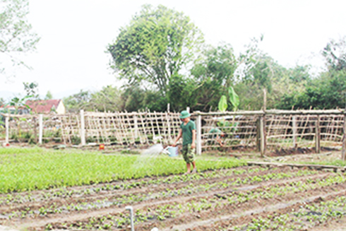 Tiểu đoàn 460: Nỗ lực tăng gia sản xuất