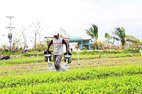 Xây dựng nông thôn mới: Sau bão, nhiều xã gặp khó