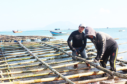 Giá vật liệu làm lồng, bè nuôi thủy sản tăng mạnh