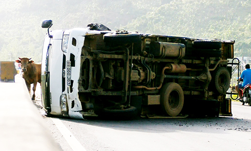 Xe tải chở bò lật trên Quốc lộ 1