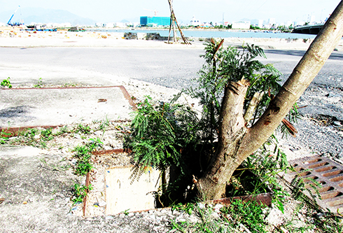 Hố ga không có nắp đậy