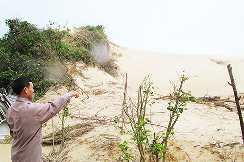 Vạn Ninh: Cát uy hiếp khu dân cư