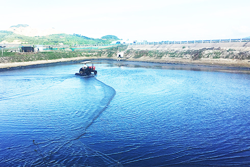 Khẩn trương cải tạo ao đìa