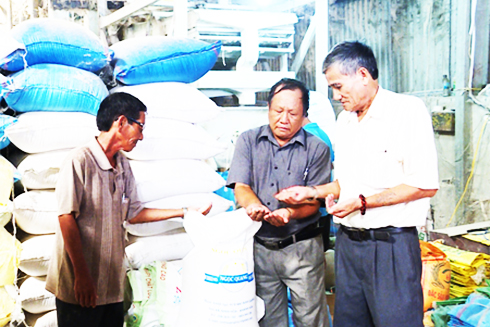 Hợp tác xã Nông nghiệp 1 Ninh Quang đang có nhiều sự đầu tư  cho thương hiệu gạo Ngọc Quang.