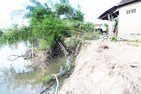 Xã Ninh Phụng: Nhiều đoạn bờ sông bị sạt lở