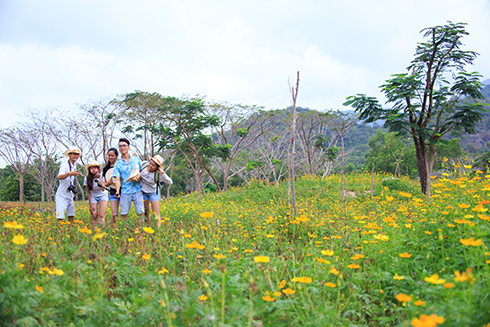Khu du lịch Đảo Hoa Lan sắp ra mắt các sản phẩm, dịch vụ mới