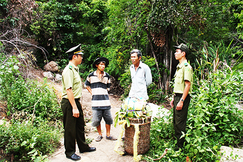 Nỗ lực giữ rừng