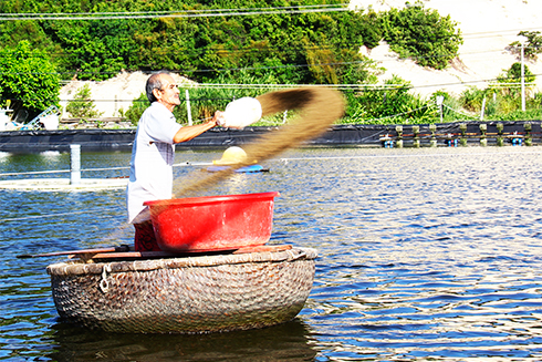 Người nuôi tôm cần tuân thủ lịch thời vụ