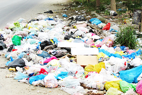 Cần có thùng thu gom rác thải