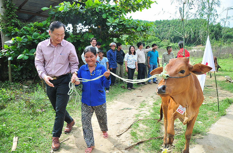 Ông Nguyễn Đắc Tài trao bò cho người dân.