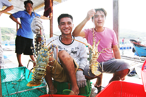 Cam Ranh: 4 xã tiếp tục phấn đấu đạt chuẩn nông thôn mới