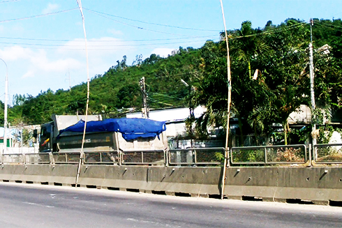 Tự tiện dựng cây tre, kéo điện qua quốc lộ