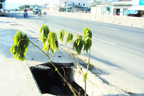 Hố trên vỉa hè