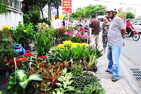 Nhiều tuyến phố thành chợ hoa xuân