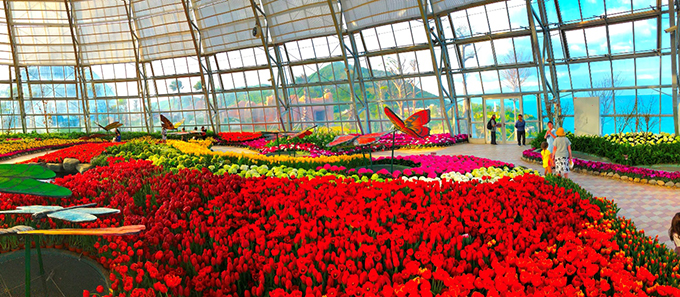 "Lạc lối tại Hà Lan" ở Vinpearl Nha Trang