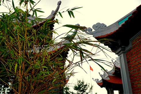 Tre đằng ngà bên mái chùa Sơn Ca.