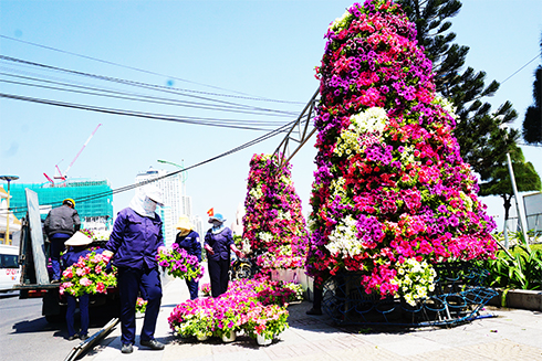 Trang trí hoa trên đường Trần Phú, TP. Nha Trang.