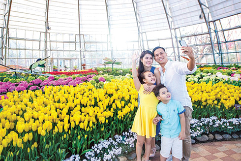 Nhiều hoạt động phục vụ du khách trong dịp Tết