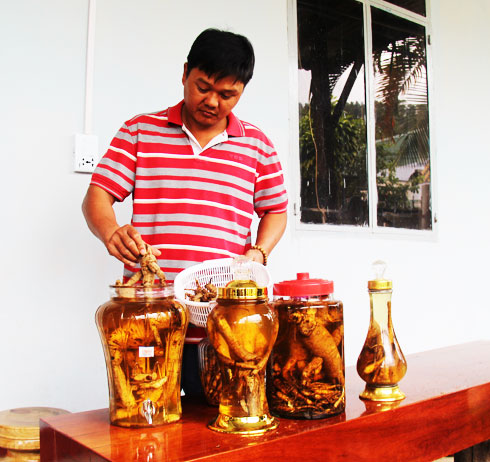 Rượu ngâm sâm Bố Chính hiện nay là đặc sản  của người dân Khánh Sơn.