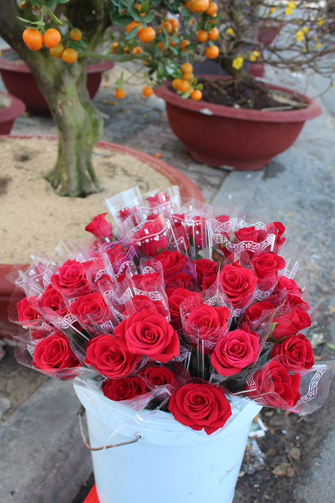 Hoa hồng nhung có giá 15.000 đồng - 20.000 đồng trong ngày Lễ tình nhân.