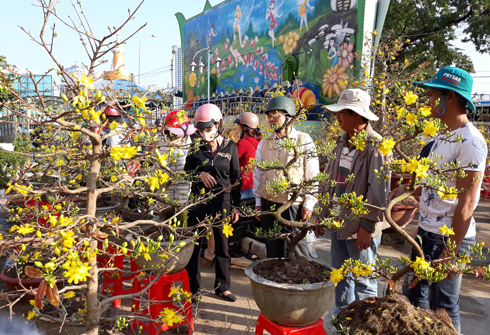 Rộn ràng thị trường hoa ngày cuối năm