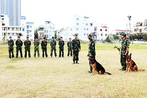 Chuẩn bị cho ngày ra quân huấn luyện