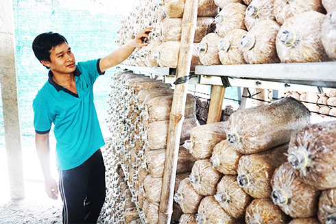 Nguồn vốn tín dụng chính sách: Phát huy hiệu quả