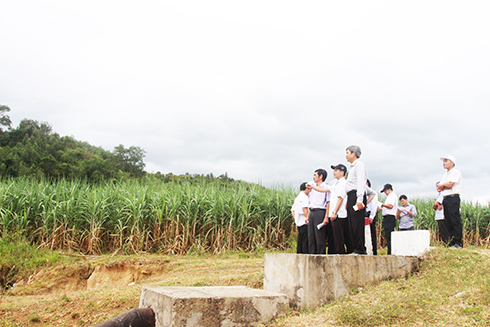 Các dự án điện mặt trời: Không lấy đất sản xuất hiệu quả