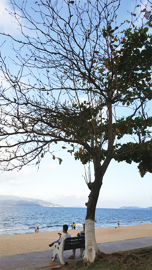 Chút bóng mát giữa lòng thành phố...