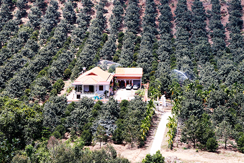 Cơ cấu lại ngành Nông nghiệp: Để phát triển bền vững